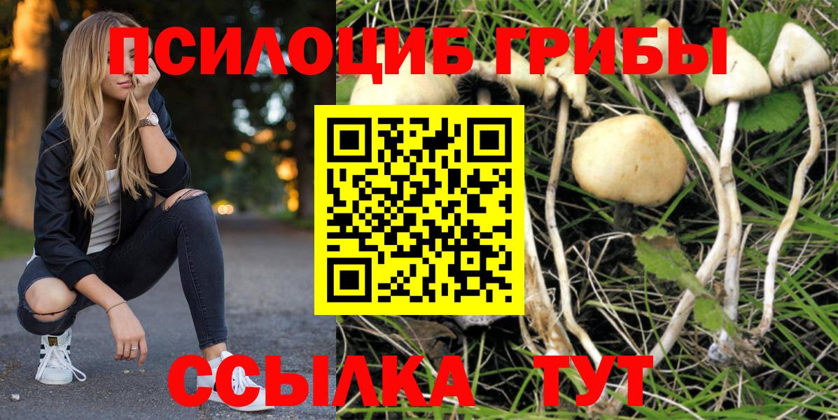Галлюциногенные грибы Magic Shrooms  наркотики  Галлюциногенные грибы Psilocybine cubensis  Мыски  Вход с VPN 
