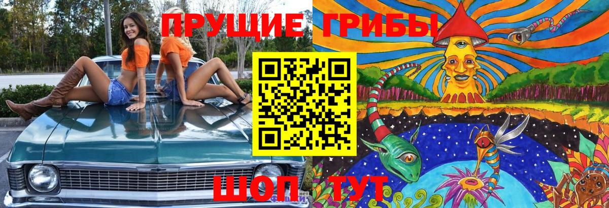 Галлюциногенные грибы Psilocybine cubensis Мыски